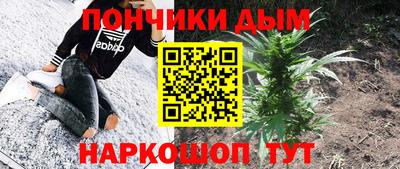 PSILOCYBIN Новодвинск